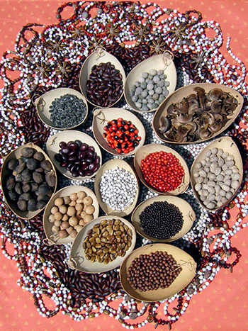 graines servant pour nos bijoux